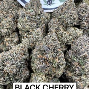 Black Cherry Gelato Weed Strain