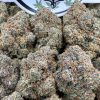 Order Cheap Blue Agave Cannabis Online